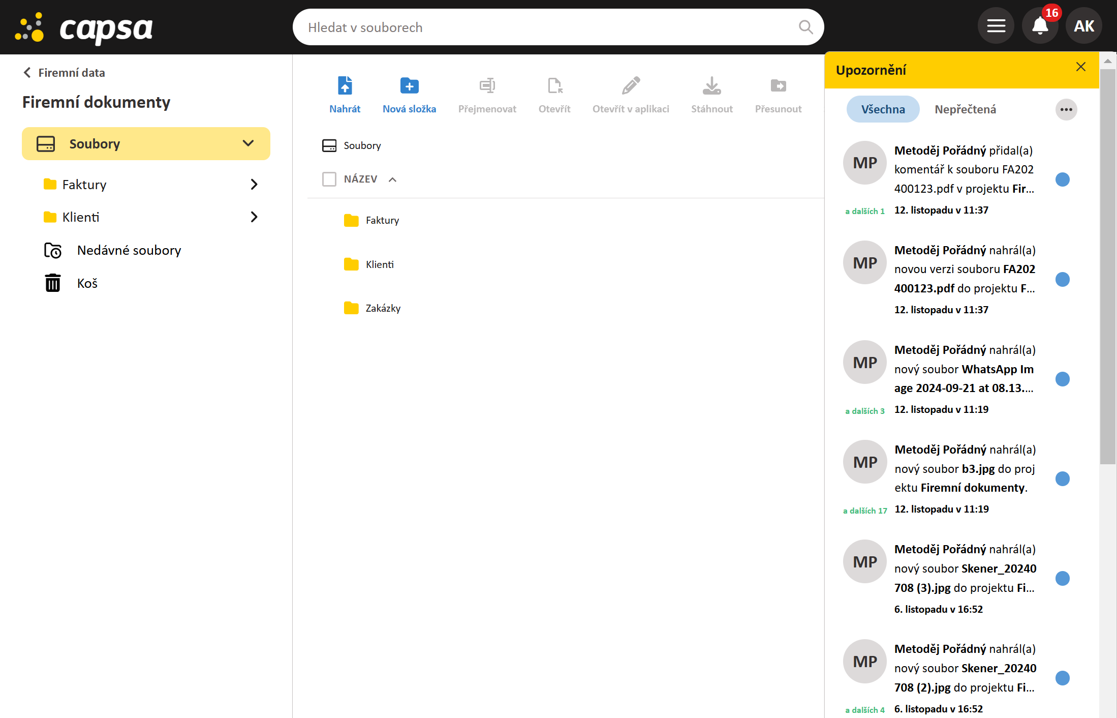 Snímek obrazovky 2024-11-12 121655